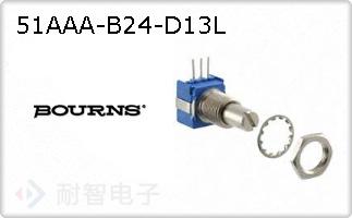 51AAA-B24-D13L