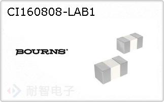 CI160808-LAB1