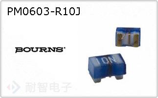 PM0603-R10J