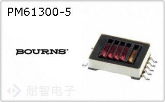 PM61300-5