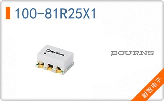 100-81R25X1