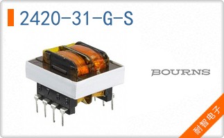 2420-31-G-S