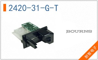 2420-31-G-T