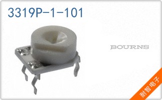 3319P-1-101