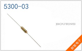 5300-03