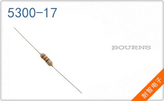 5300-17