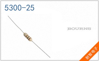5300-25
