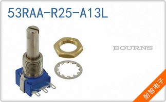 53RAA-R25-A13L