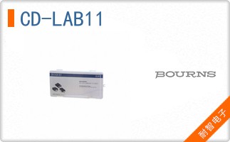 CD-LAB11