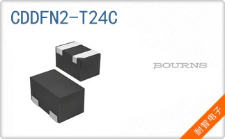 CDDFN2-T24C
