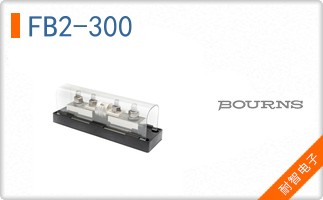 FB2-300