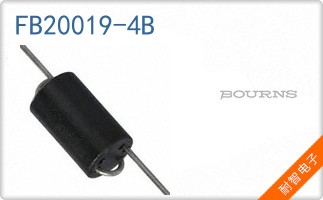 FB20019-4B