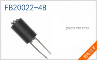 FB20022-4B