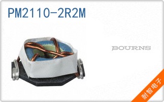 PM2110-2R2M