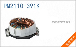 PM2110-391K