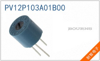 PV12P103A01B00