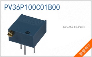 PV36P100C01B00