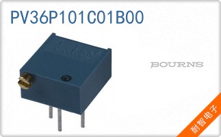 PV36P101C01B00