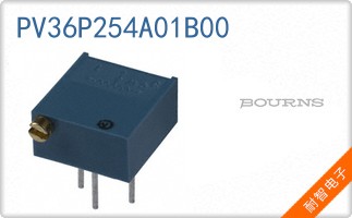 PV36P254A01B00