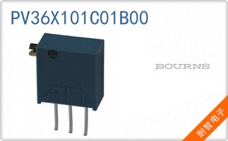 PV36X101C01B00