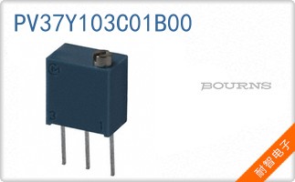 PV37Y103C01B00