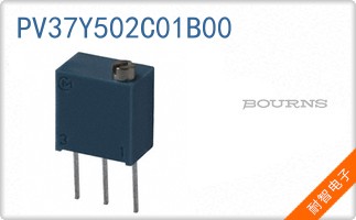 PV37Y502C01B00