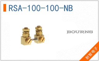 RSA-100-100-NB