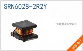 SRN6028-2R2Y