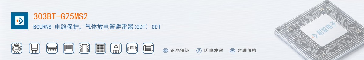 303BT-G25MS2������