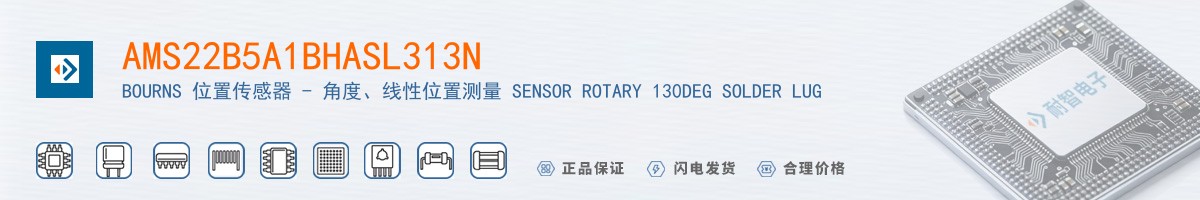 AMS22B5A1BHASL313N������