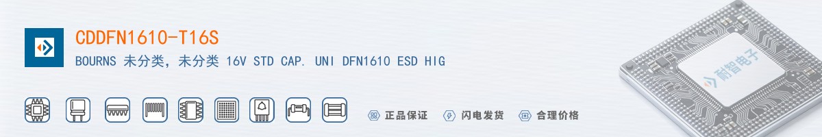 CDDFN1610-T16S������