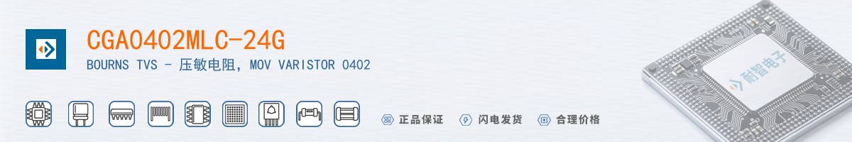 CGA0402MLC-24G������