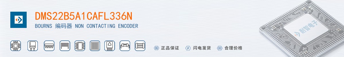 DMS22B5A1CAFL336N������