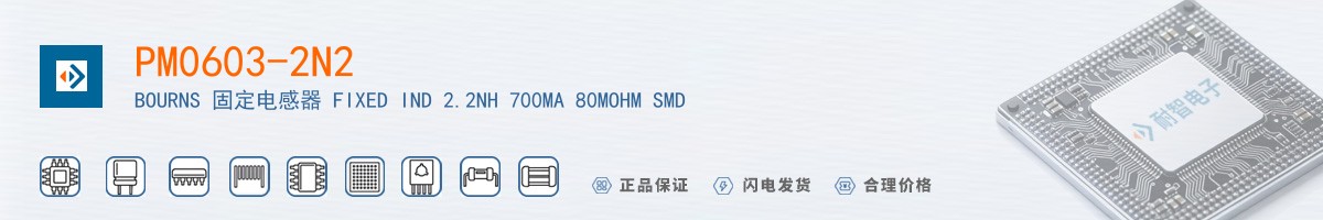 PM0603-2N2������