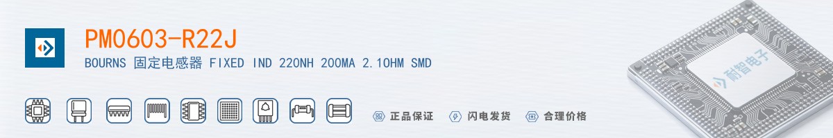 PM0603-R22J������