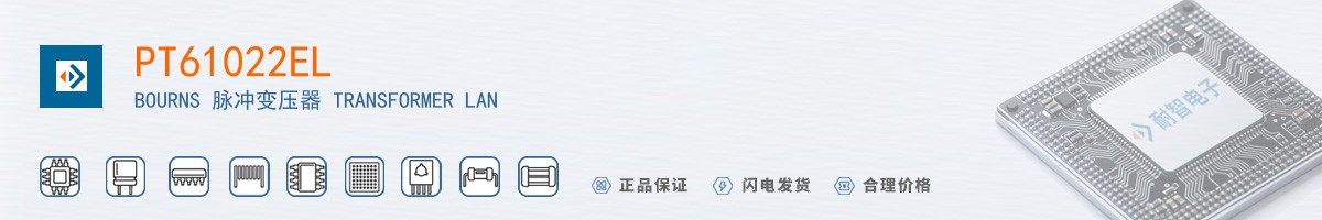 PT61022EL������