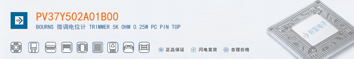 PV37Y502A01B00������