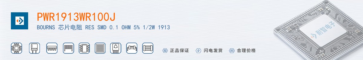 PWR1913WR100J������