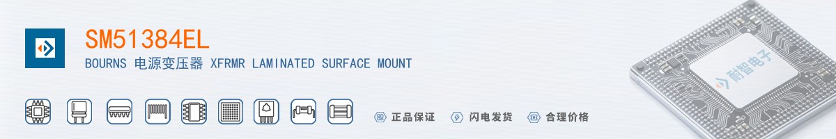 SM51384EL������