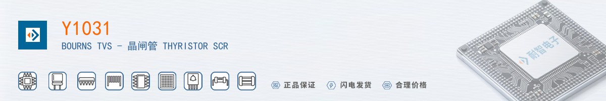 Y1031������